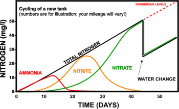 Nitrogen Cycle