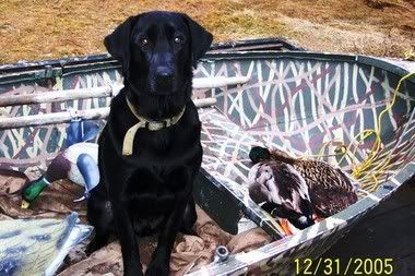 Last duck hunt of 2005