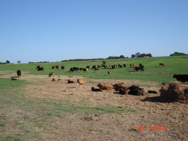 ranch005.jpg