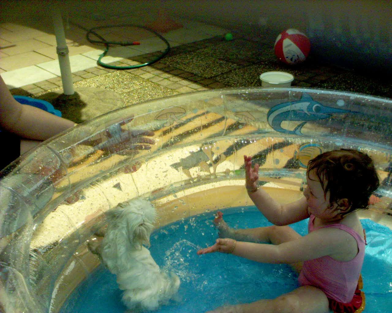 Photobucket - Video and Image Hosting