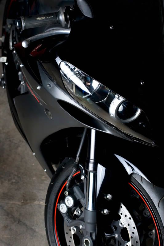 IMAGE: http://i32.photobucket.com/albums/d13/snowmanZ/KG9Z6329.jpg