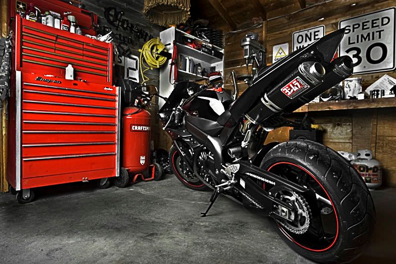 IMAGE: http://i32.photobucket.com/albums/d13/snowmanZ/KG9Z63599.jpg