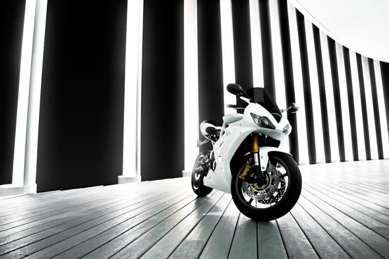 IMAGE: http://i32.photobucket.com/albums/d13/snowmanZ/Triumph2.jpg