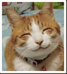 happycat.jpg