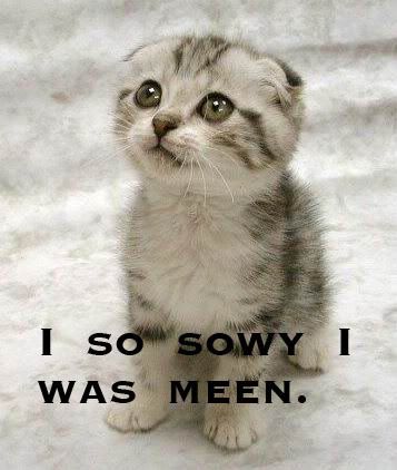 sorrycatcopy.jpg