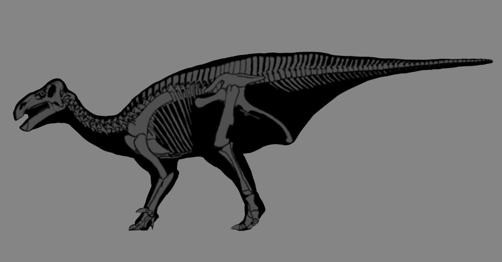 Iguanodon_silhouette_pc.jpg