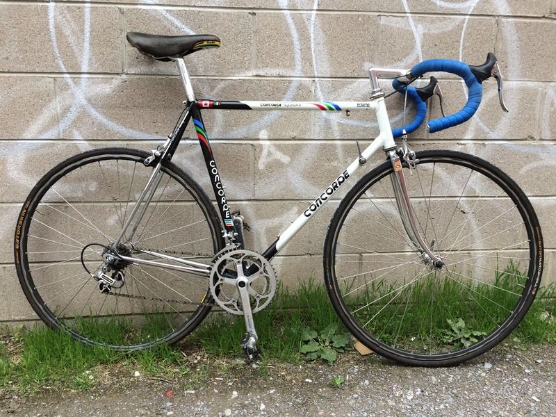 concorde pdm team bike