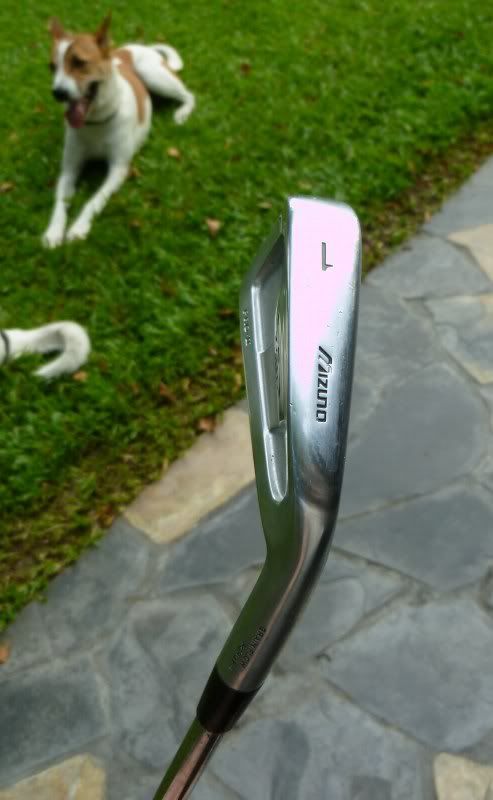 1iron_1.jpg