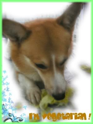 Image hosting by Photobucket