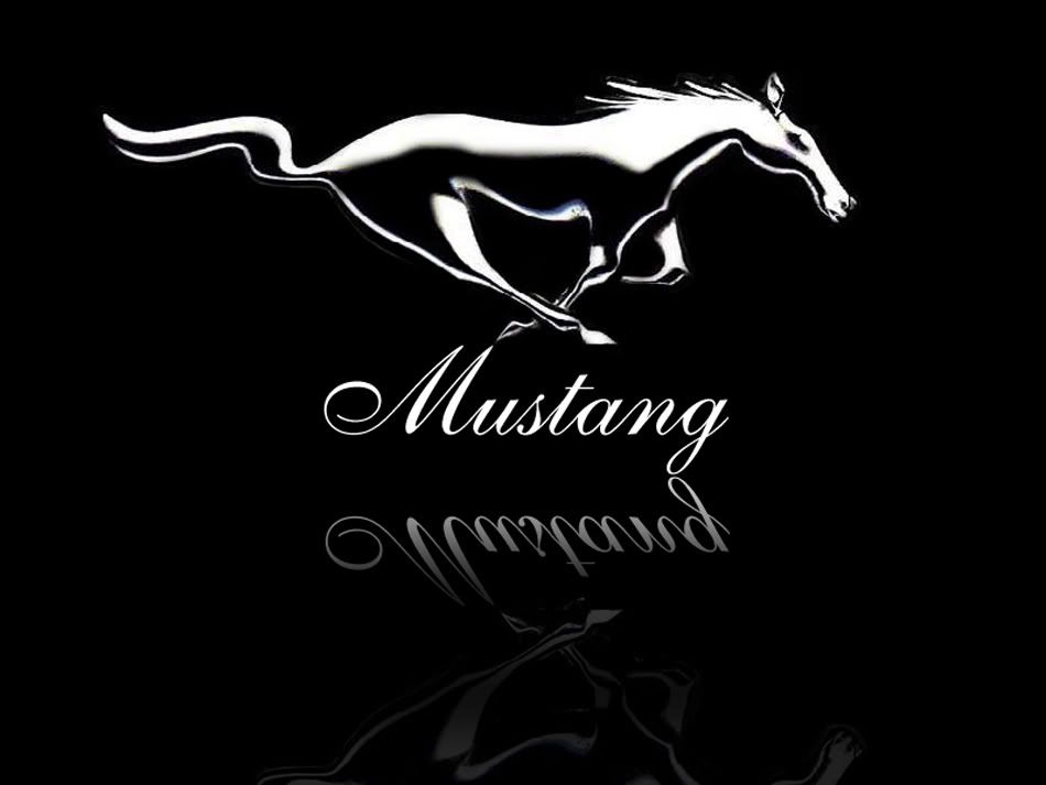 Mustang Horse Background