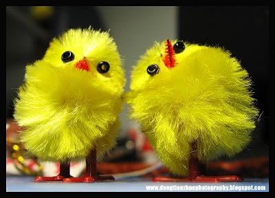 IMAGE: http://i32.photobucket.com/albums/d21/Dong_Tianzhao/IMG_3564.jpg