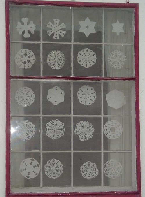 paper snowflakes display Pictures, Images and Photos