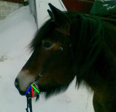 Bild085.jpg