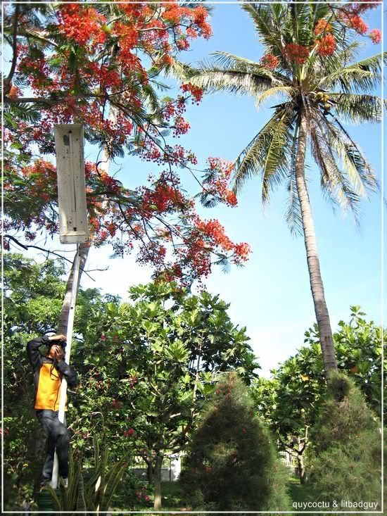 hautruongsankhau