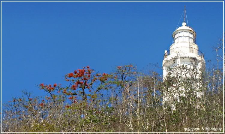 vungtau