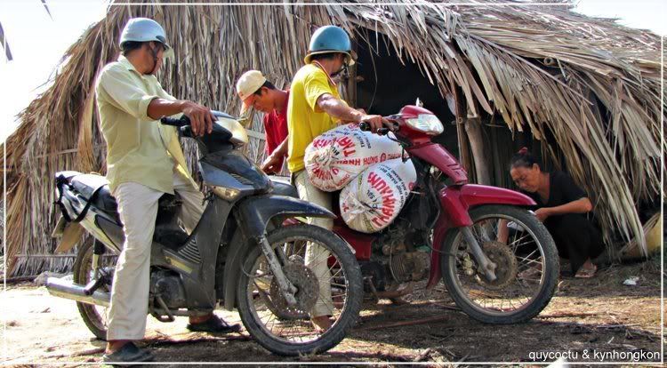 lam muoi