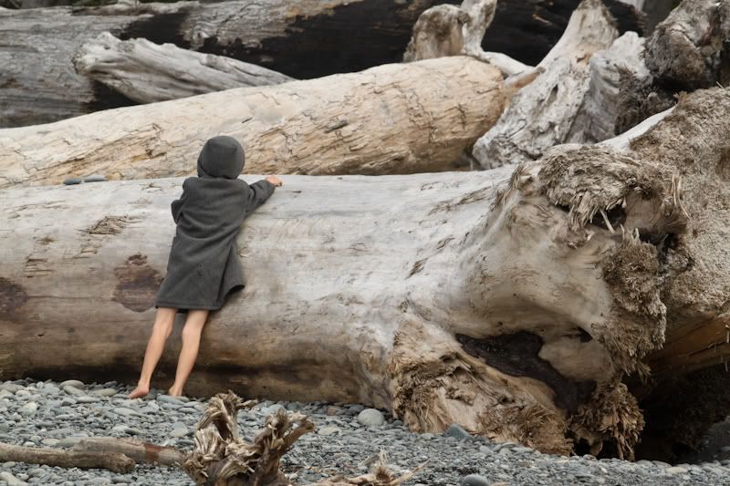 Rialto Beach