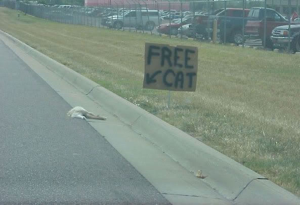 Free_Cat.jpg