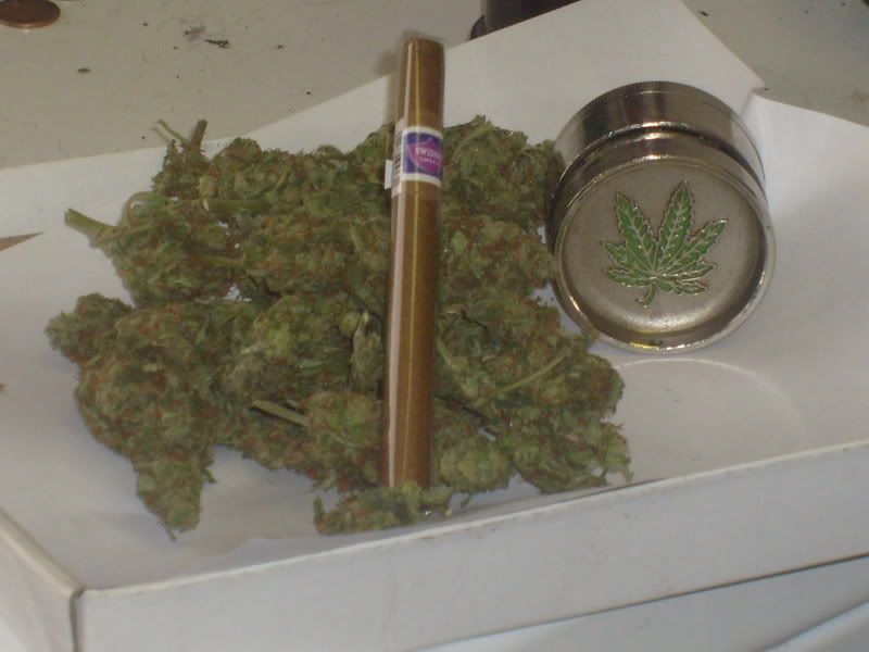 super kush smoke out Pictures, Images and Photos