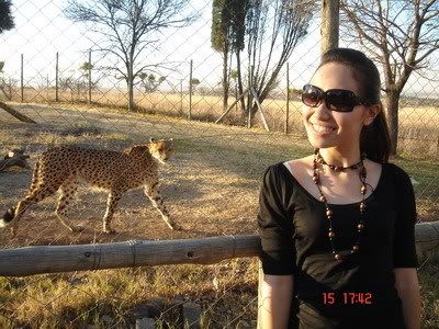 ชีวิตใน 6 วันที่ Johannesburg South Africa