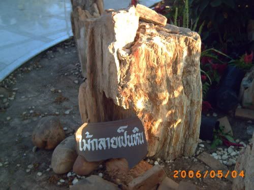 14 days in Thailand