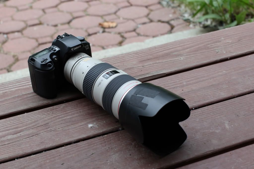 IMAGE: http://i32.photobucket.com/albums/d24/akkell85/d6070-200.jpg