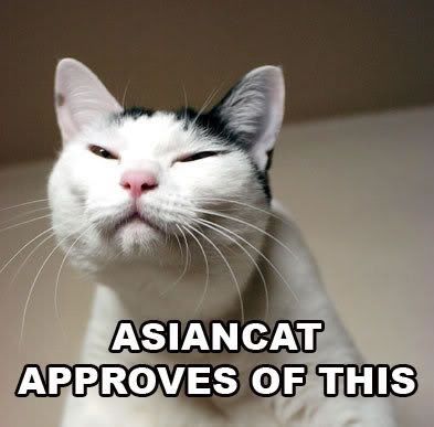 Asian_cat_approves.jpg