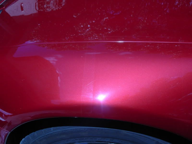 DSCN1783.jpg