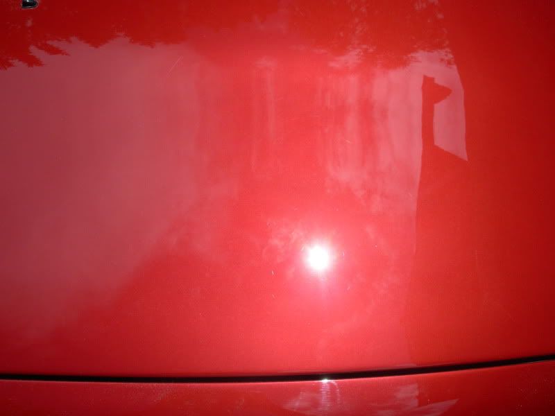 DSCN1793.jpg