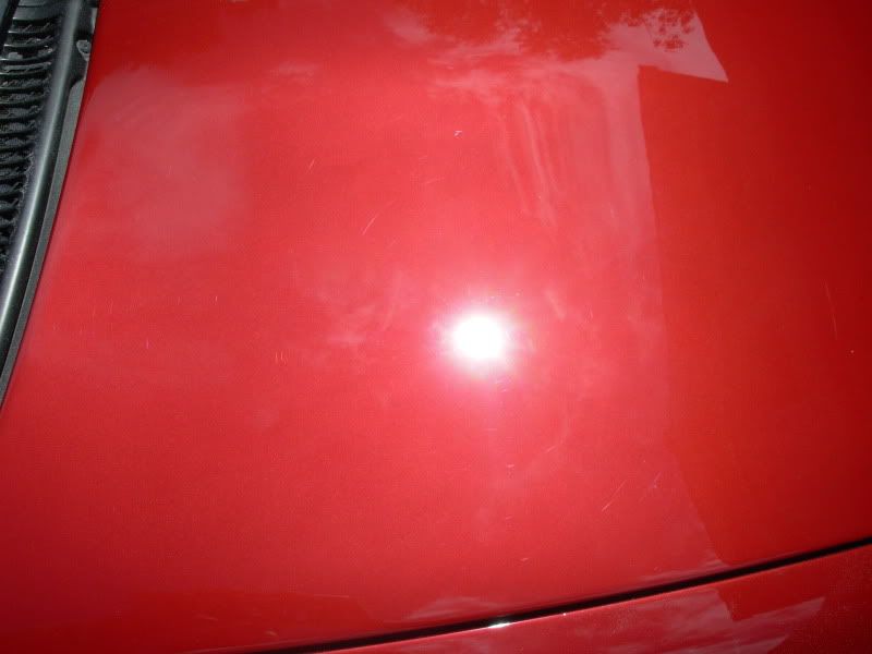 DSCN1794.jpg