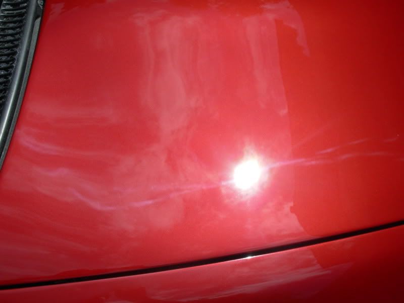 DSCN1796.jpg