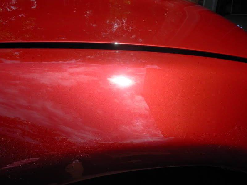 DSCN1798.jpg
