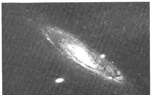 La gran galaxia de Andrómeda, M31 , es el objeto más distante del Cosmos visible desde la Tierra a simple vista. Tiene por lo menos siete brazos en espiral y se parece a nuestra propia Vía Láctea. Forma parte del Grupo Local de galaxias, y está a unos 2.3 millones de años luz de distancia. Alrededor de M31 orbitan dos galaxias elípticas enanas, NGC 205 y encima mismo de la espiral, M32. (Cedida por los observatorios Hale.)