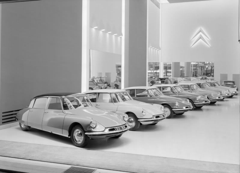 CitroesDS.jpg