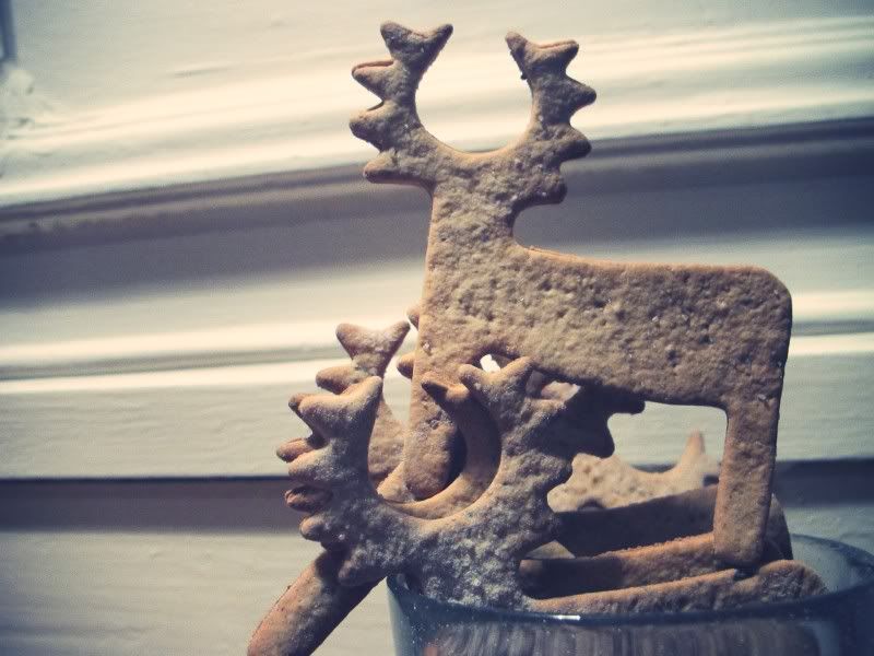 Gingerbread cookies
