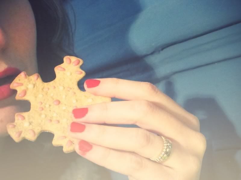 Gingerbread biscuits