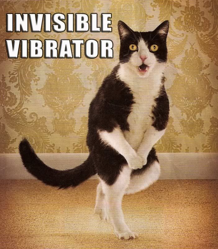 Lolcat-Invisible-Vibrator.jpg