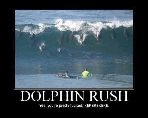 dolphinrush-500x400.jpg