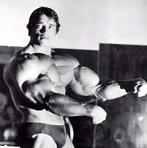 arnold schwarzenegger workout wallpapers. Biceps - Arnold Schwarzenegger
