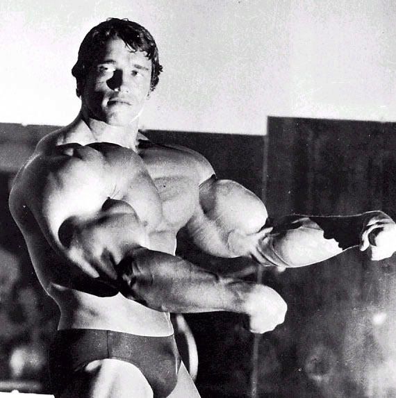 arnold schwarzenegger workout wallpapers. arnold schwarzenegger workout