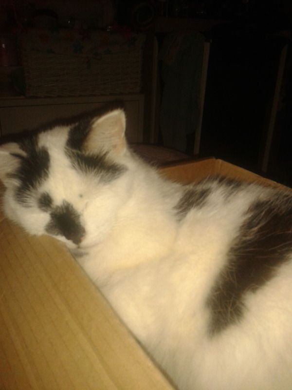 2012-08-30004713.jpg