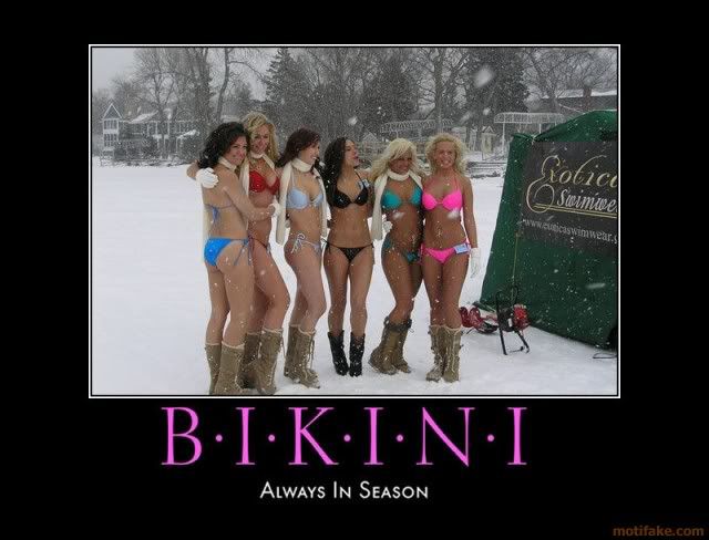 bikiniposter.jpg