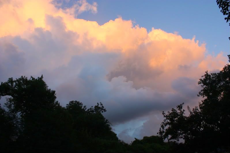 IMG_7844.jpg