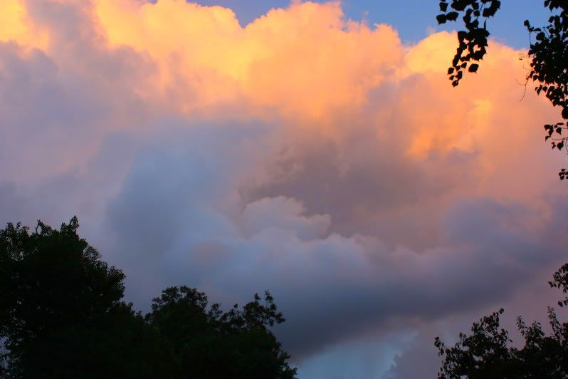 IMG_7846.jpg