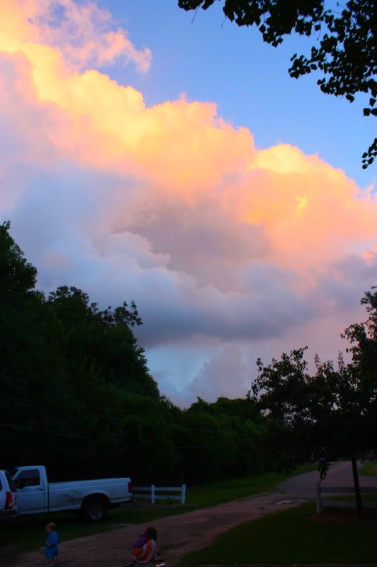 IMG_7846.jpg