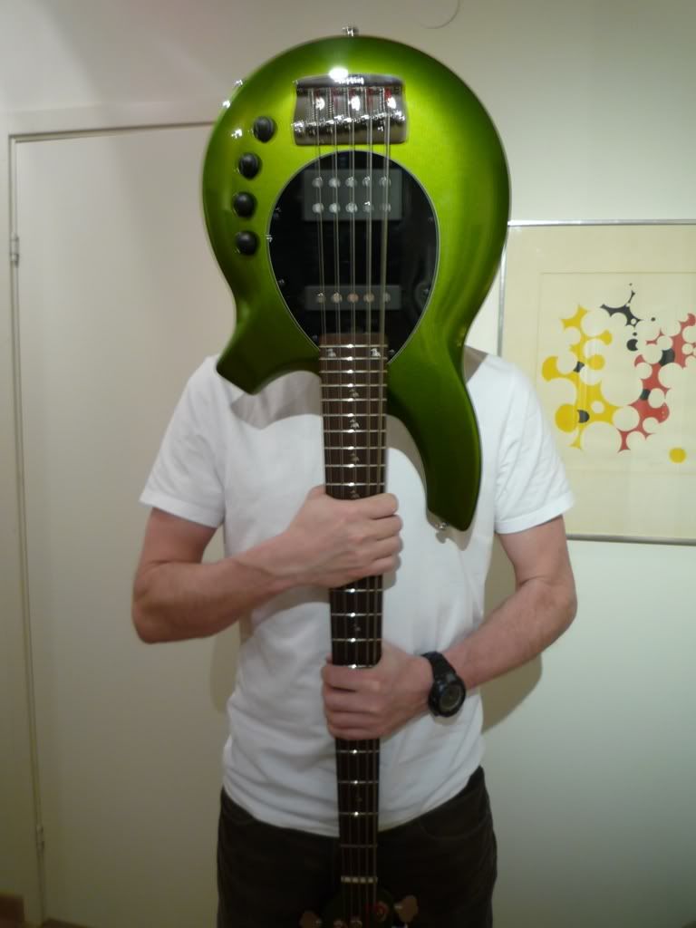 dd-bongohead.jpg