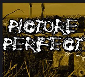 PicturePerfect.jpg picture by KristenBlack