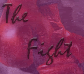 The-fight.gif