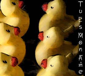 tuesmoname.gif picture by KristenBlack