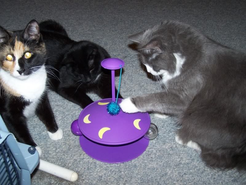 Angel, Chuck, Winnie